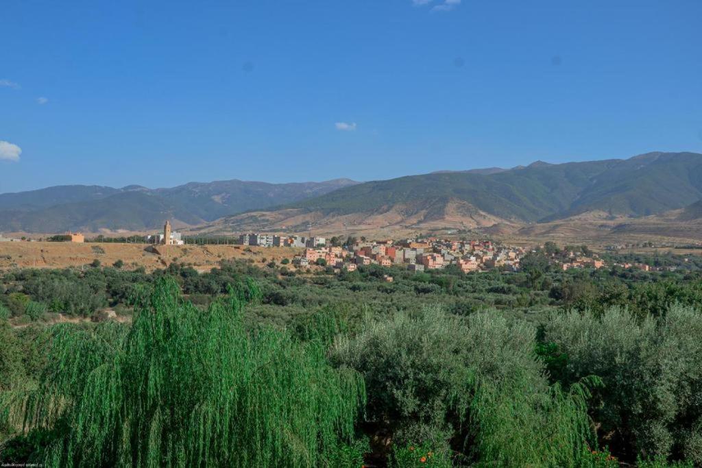 L'Oliveraie D'Amizmiz 외부 사진